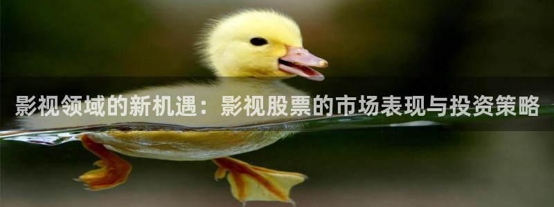 琪琪原影院：影视领域的新机遇：影视股票的市场表现与投资策略